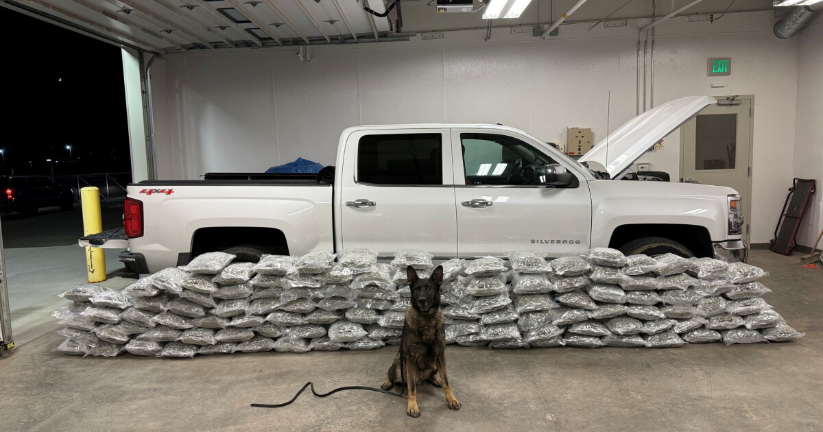 34 arrested in Butte drug bust yielding 260 pounds of marijuana, 11 ...