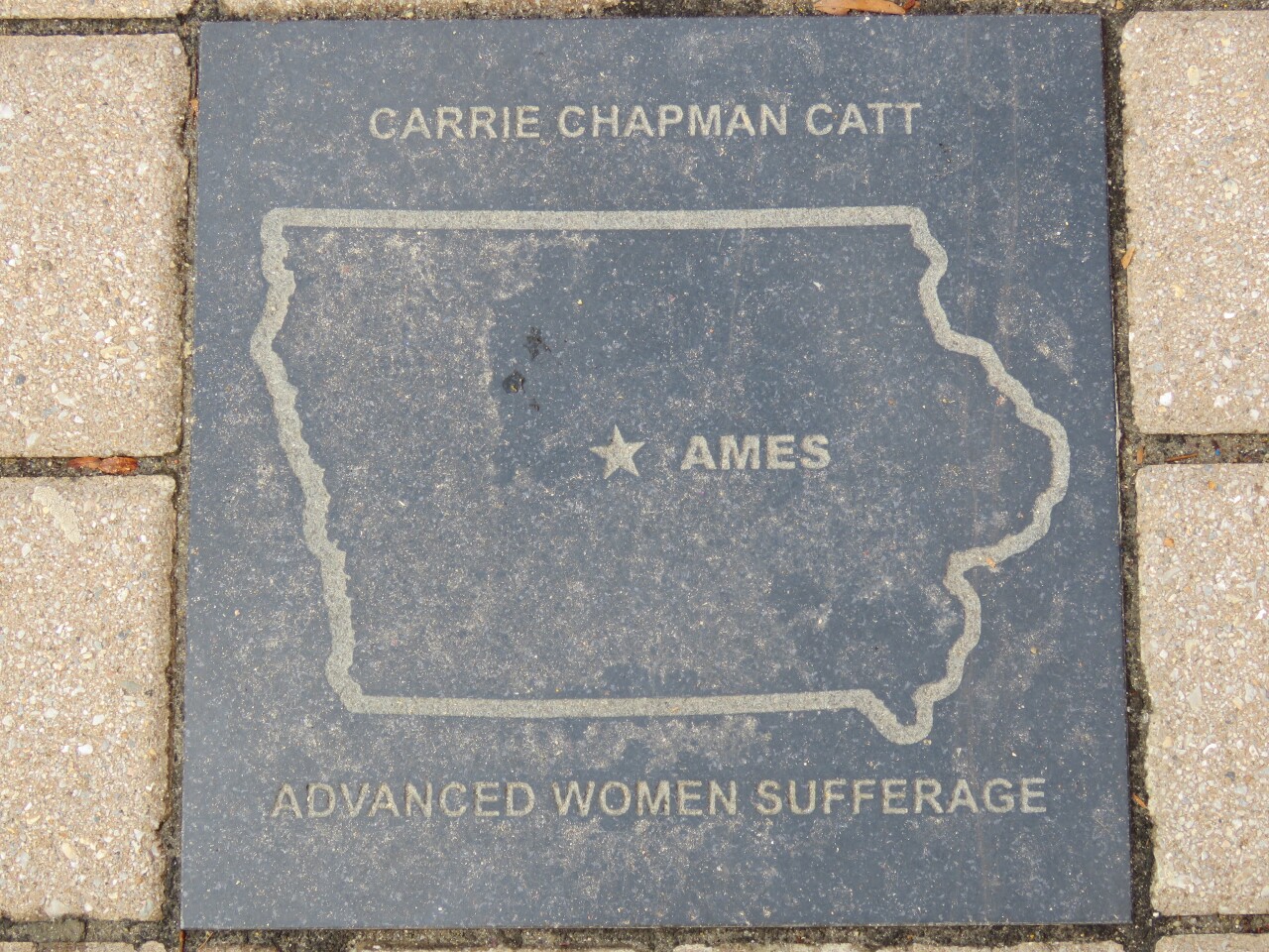 Carrie Chapman Catt, Suffragist
