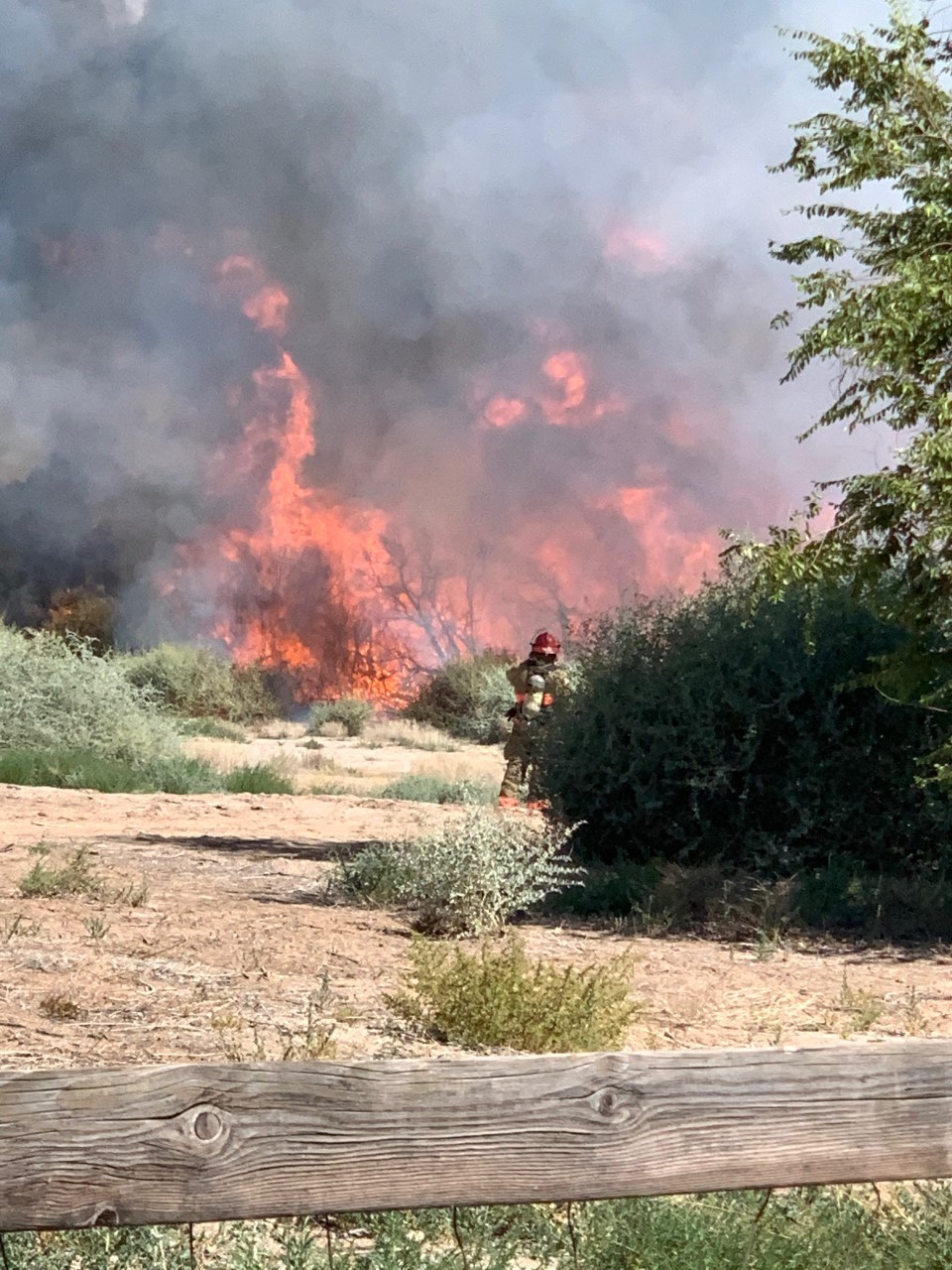 fire blm brushfire.png