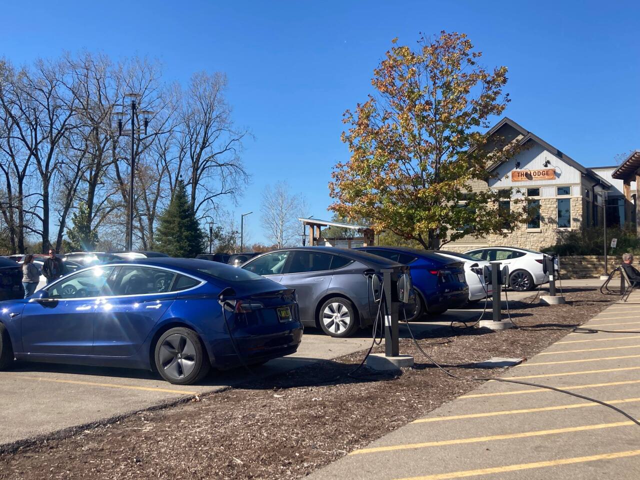 Wisconsin Tesla owners and enthusiasts gather to celebrate company's mission