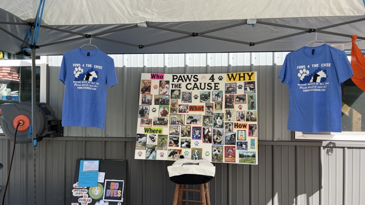 Saturday's Paws 4 the Cause animal rescue fundraiser 
