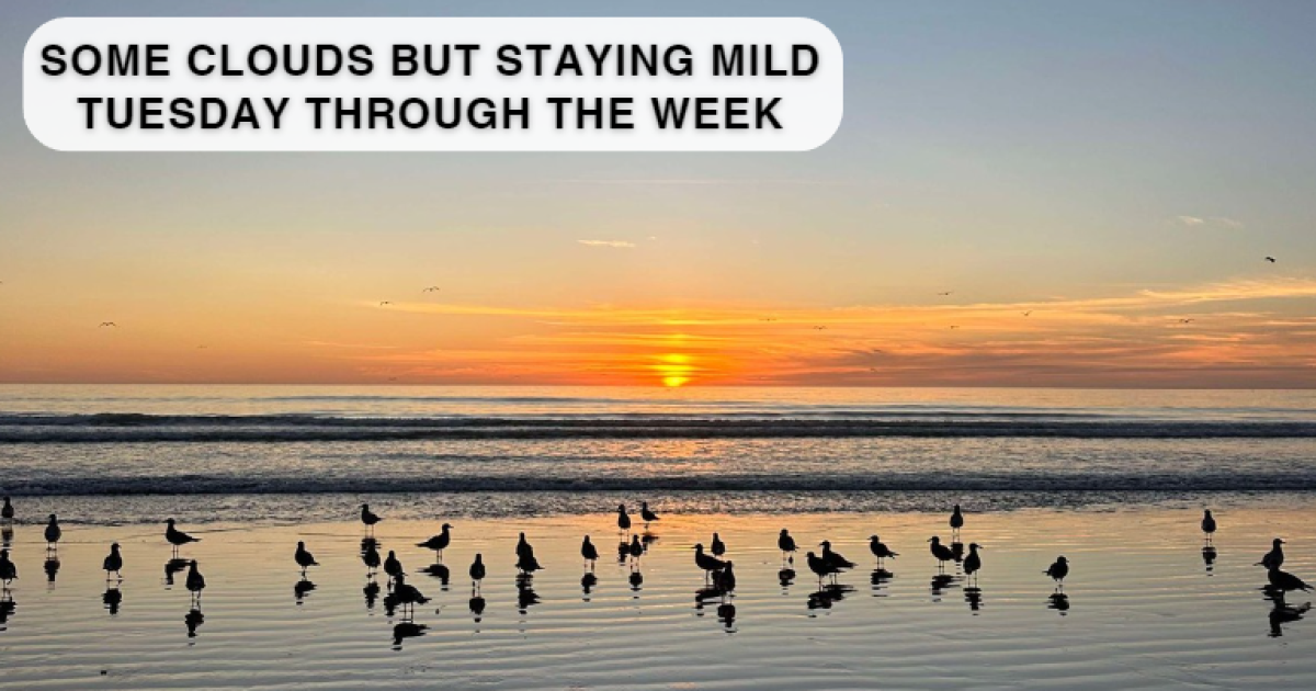 Mild weather continues but that could all change next week