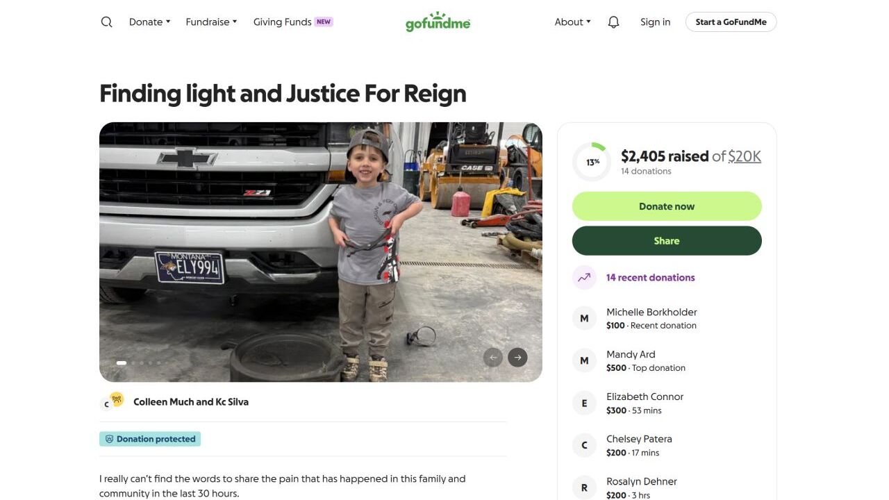 gofundme reign.jpg
