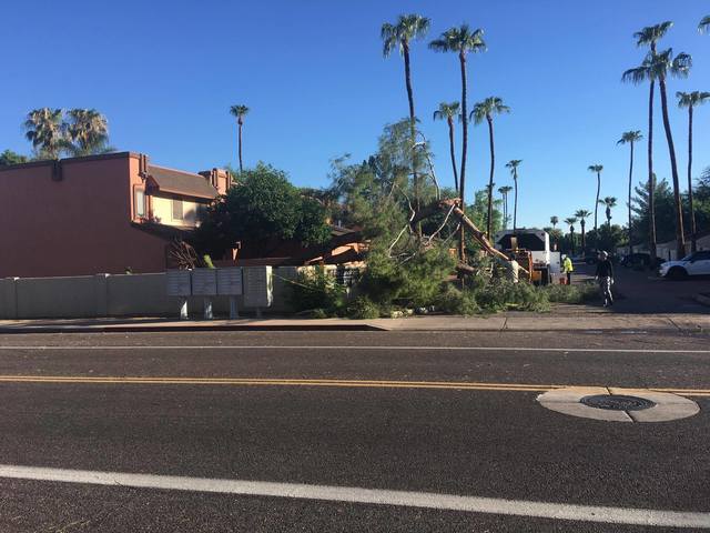 Phoenix monsoon: Severe storm across Valley Thursday