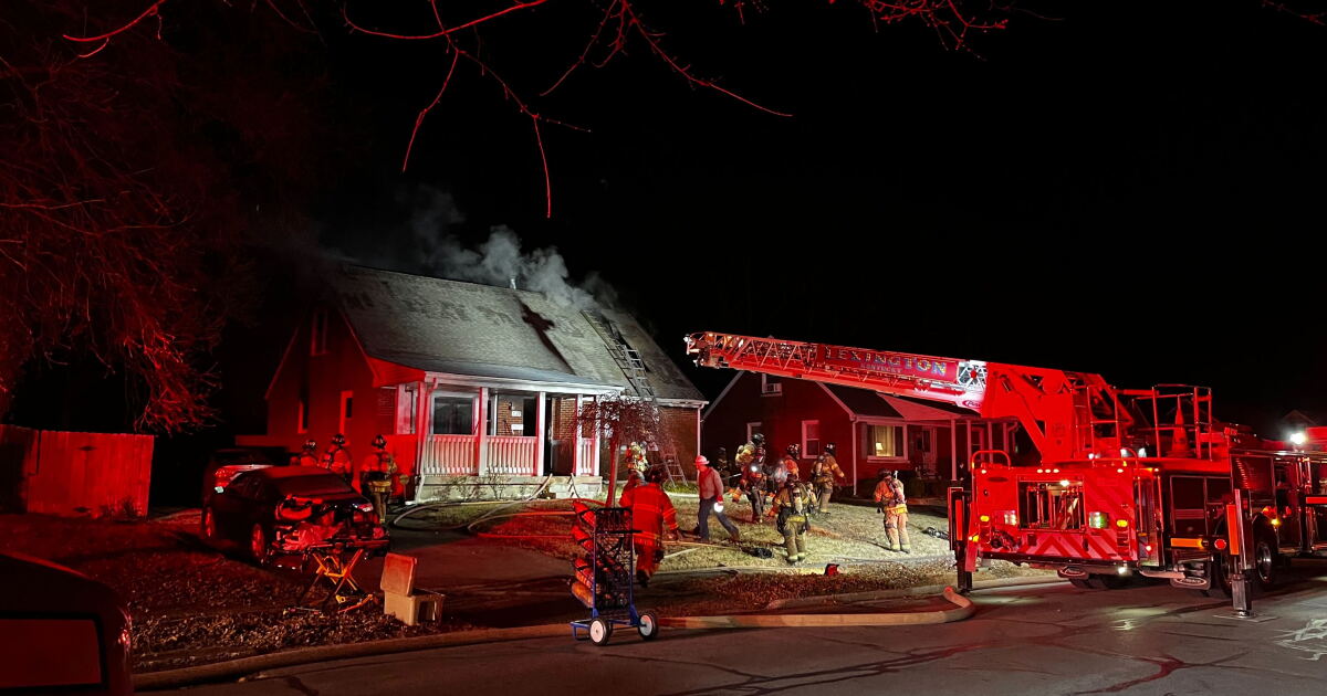 Overnight house fire in Lexington kills six animals