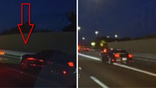 hit and run manatee fatal