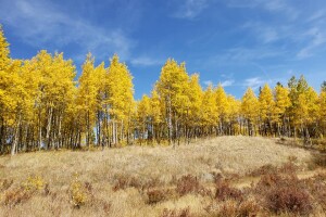 Kenosha Pass_Manda Martinez-Perea