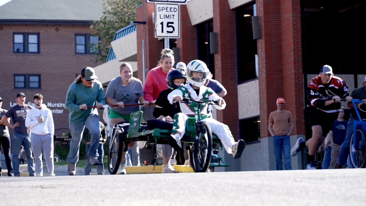 bed race knievel.jpg