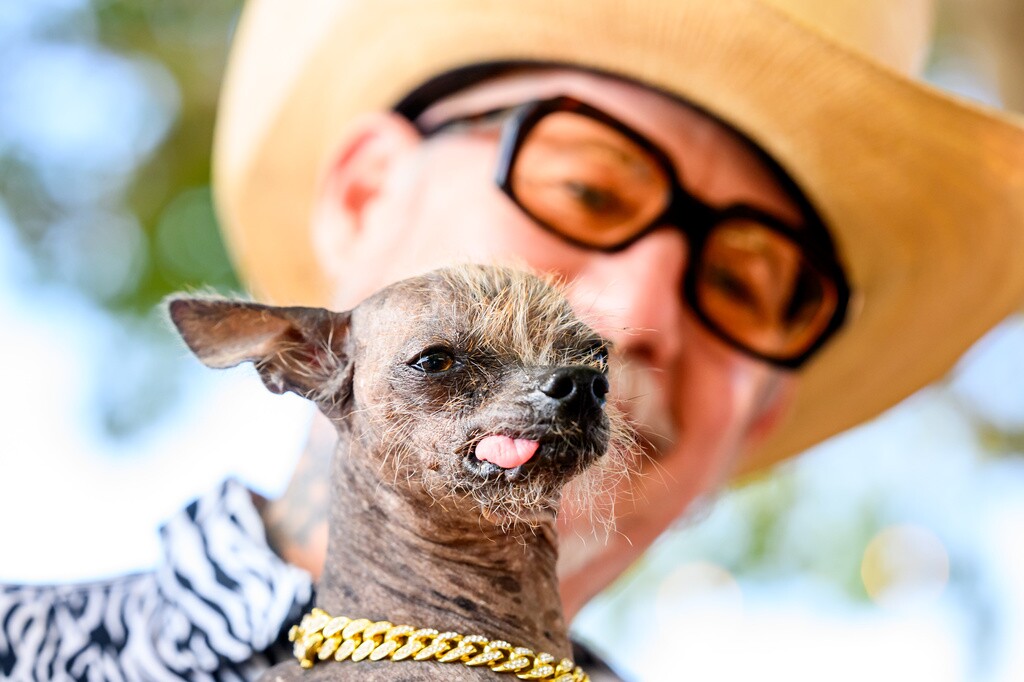 APTOPIX Ugly Dog Contest