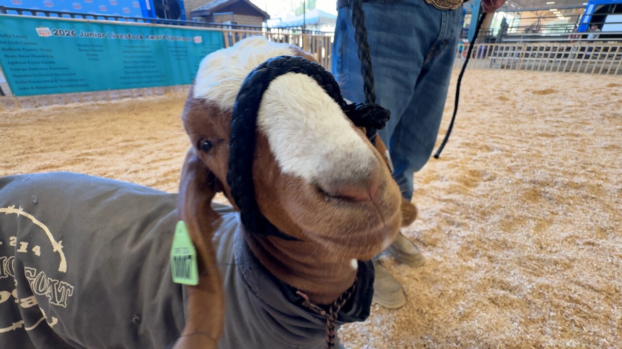Warrior Goat program at Mid-State Fair