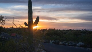 Saguaro National Park