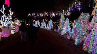 Color of Holidays at Tianyu Lights Phoenix in Arizona. 