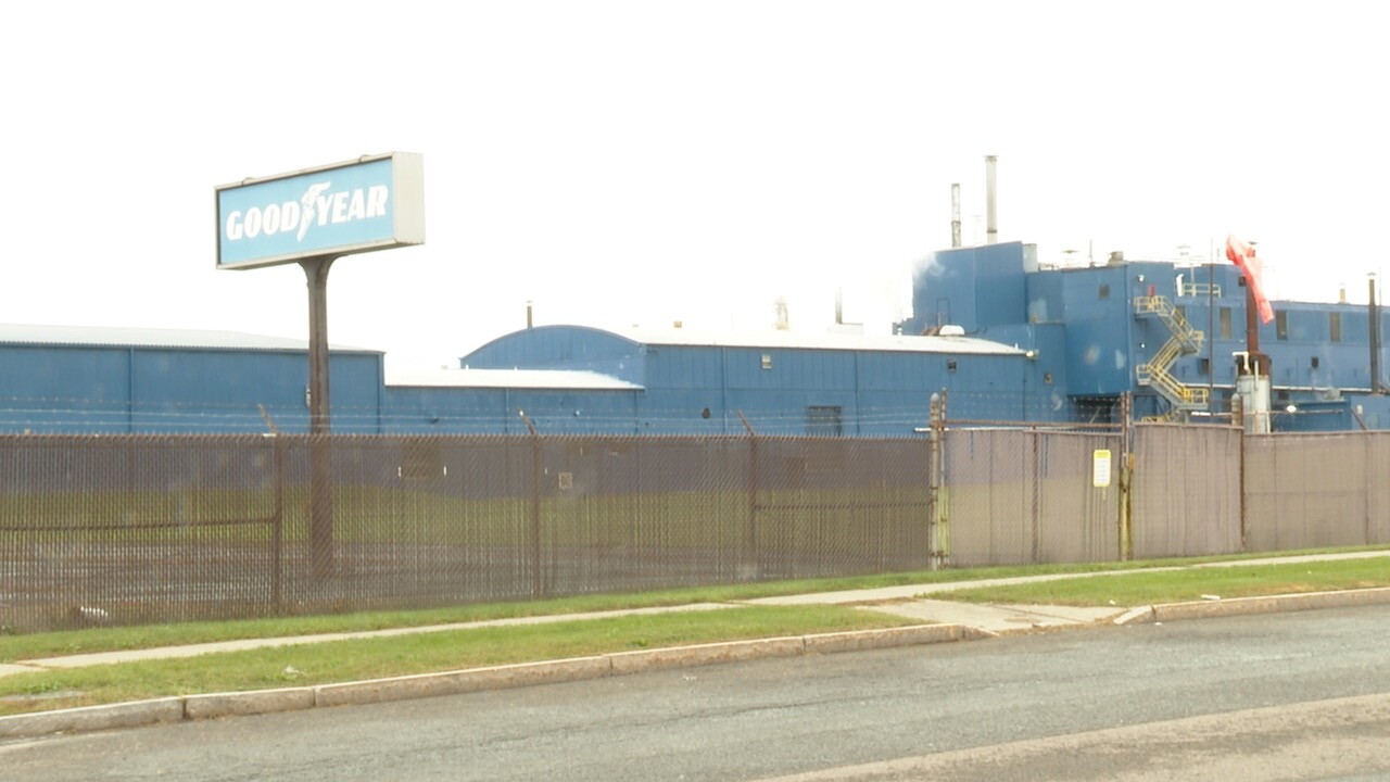 PLANT2.jpg