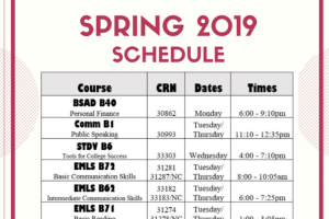 Screen Shot 2019-01-09 at 12.17.26 PM.png