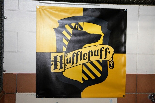 Garri Potter Shrift Russkij