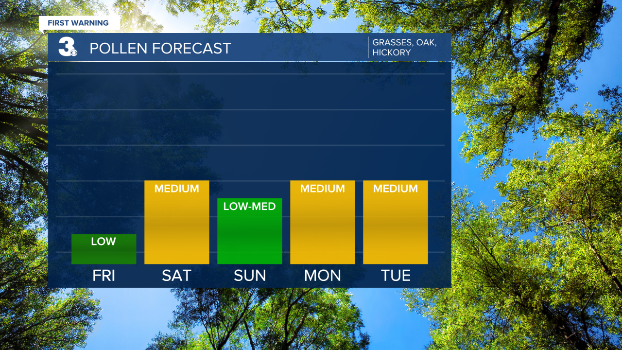 Pollen Bar Graph.png