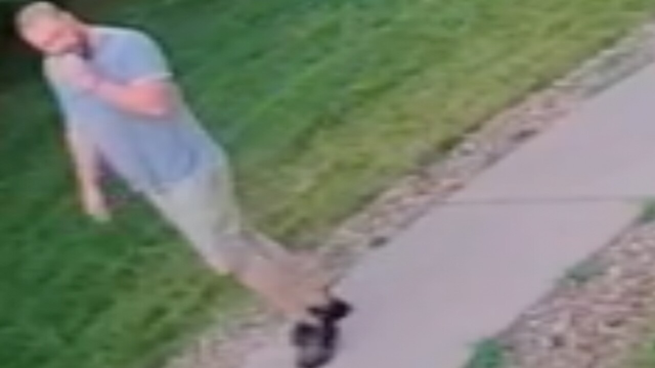 westminster incident exposure suspect.jpg