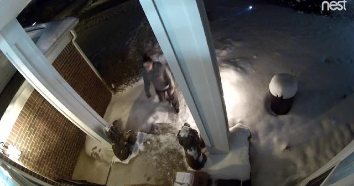 Woman caught on camera stealing package