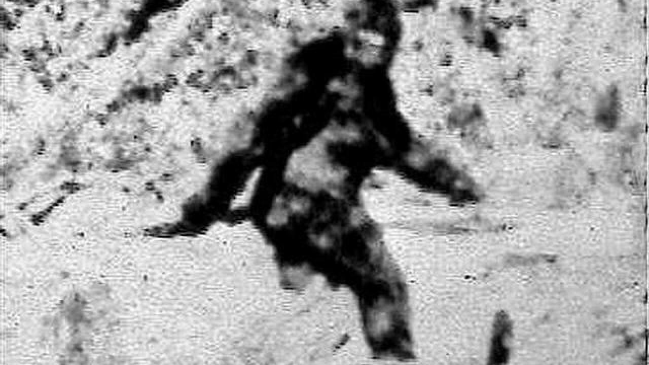 Woman sues California Dept. of Fish and Wildlife for ignoring existence of Bigfoot