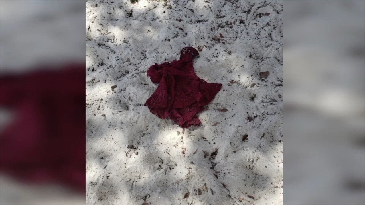 Piece of Lauren's clothing found at Four Freedoms Park