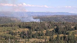 Wildfire breaks out in Carbon County's Range Creek, no structures threatened