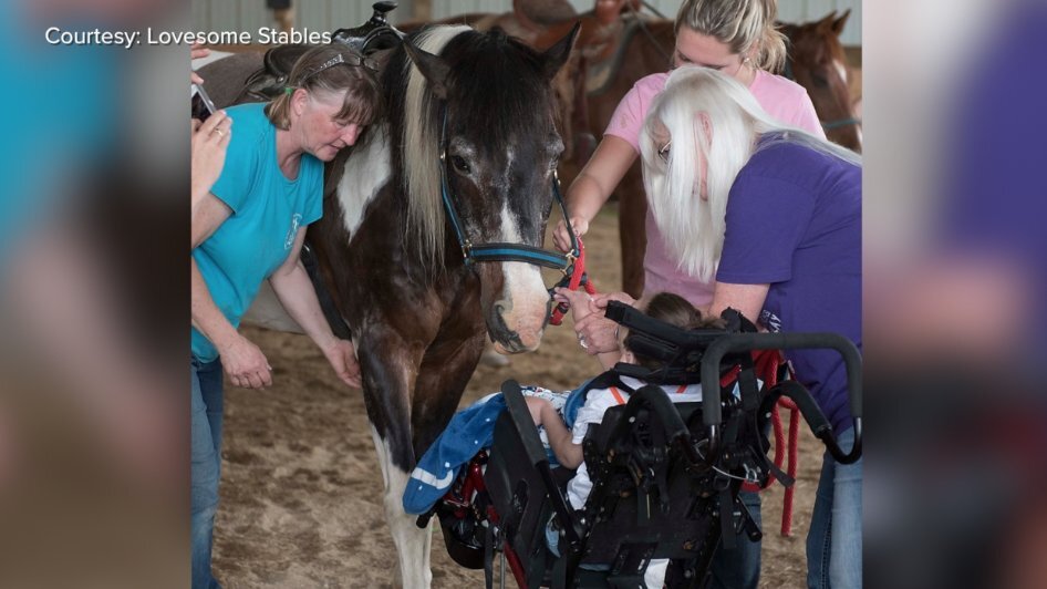 Lovesome Stables Disabled program.jpg