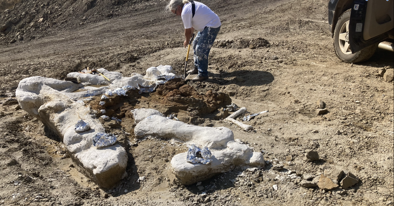 Screenshot 2023-09-17 at 6.14.30 PM.png