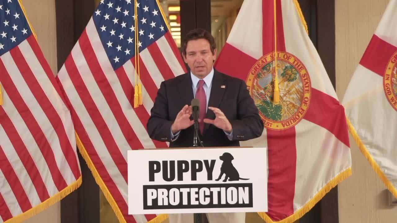 Ron Desantis Puppy Protection