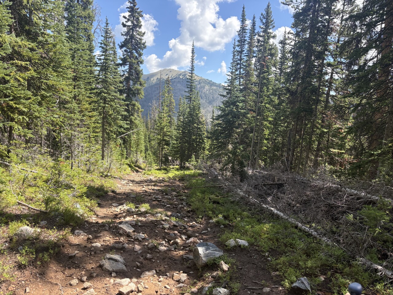 Lake Evelyn_Deb Stanley