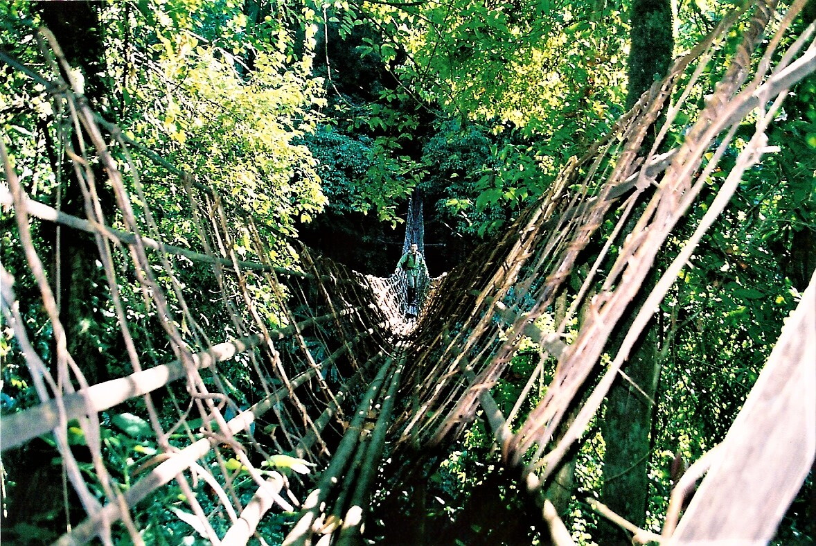 37 Hanging bridge.jpg