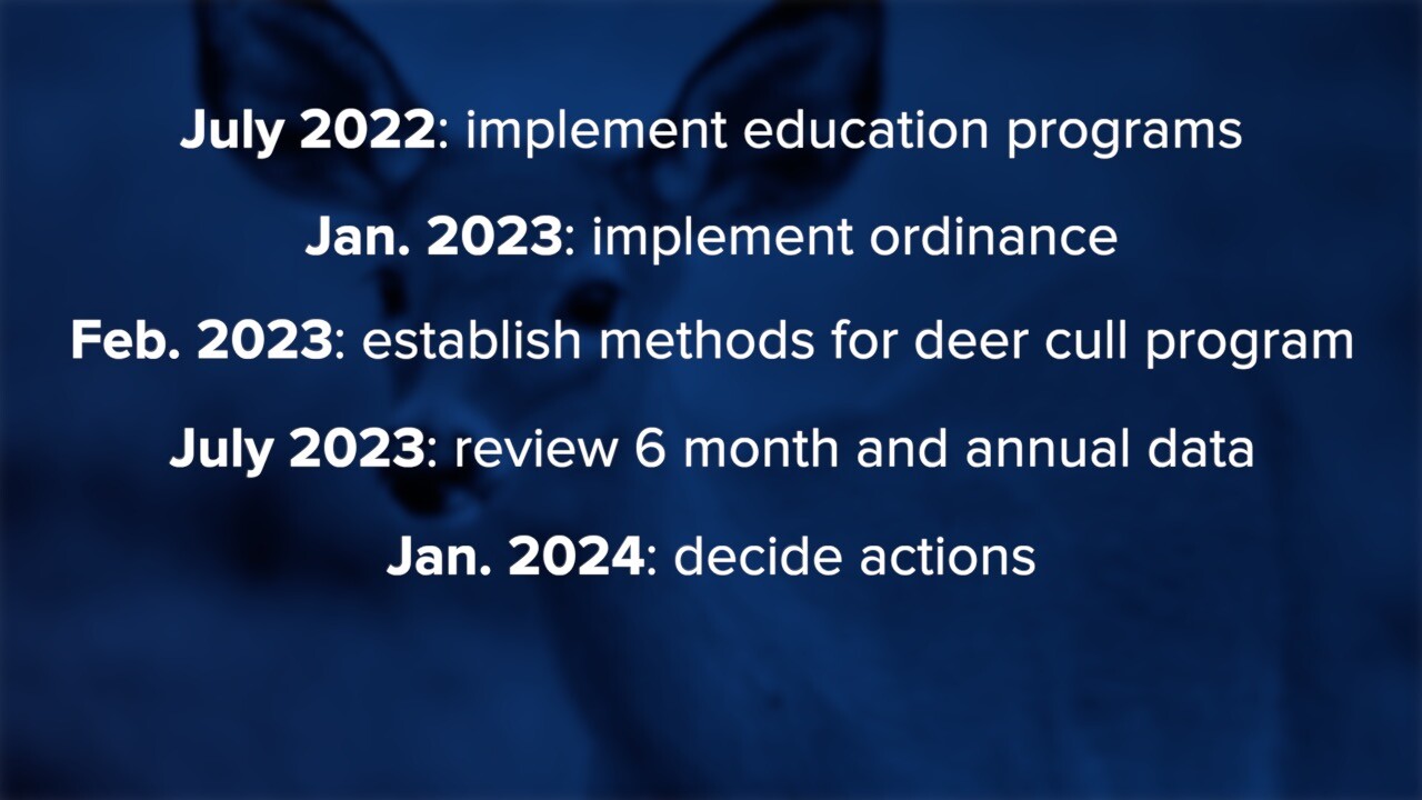 0615 FAHMY AM PKG.jpg