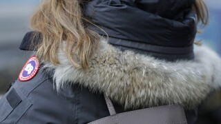 Coyote Fur