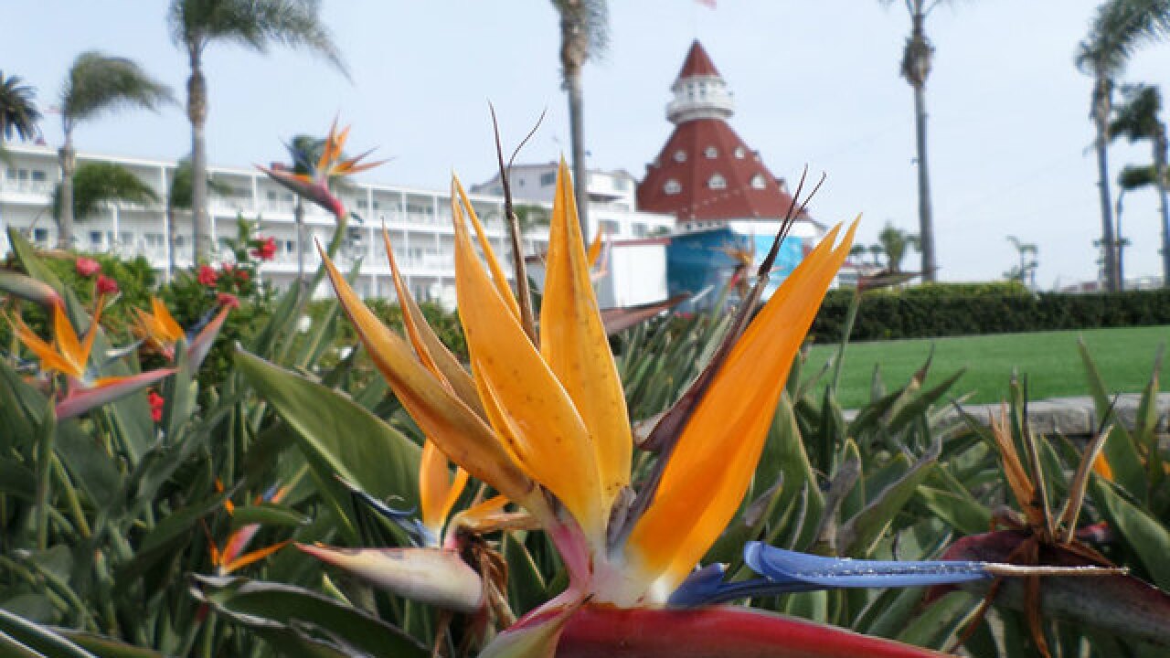 '92118 Day' celebrates overlap of Coronado's zip code, date