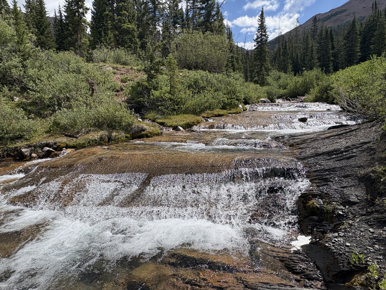Rustler’s Gulch in Crested Butte