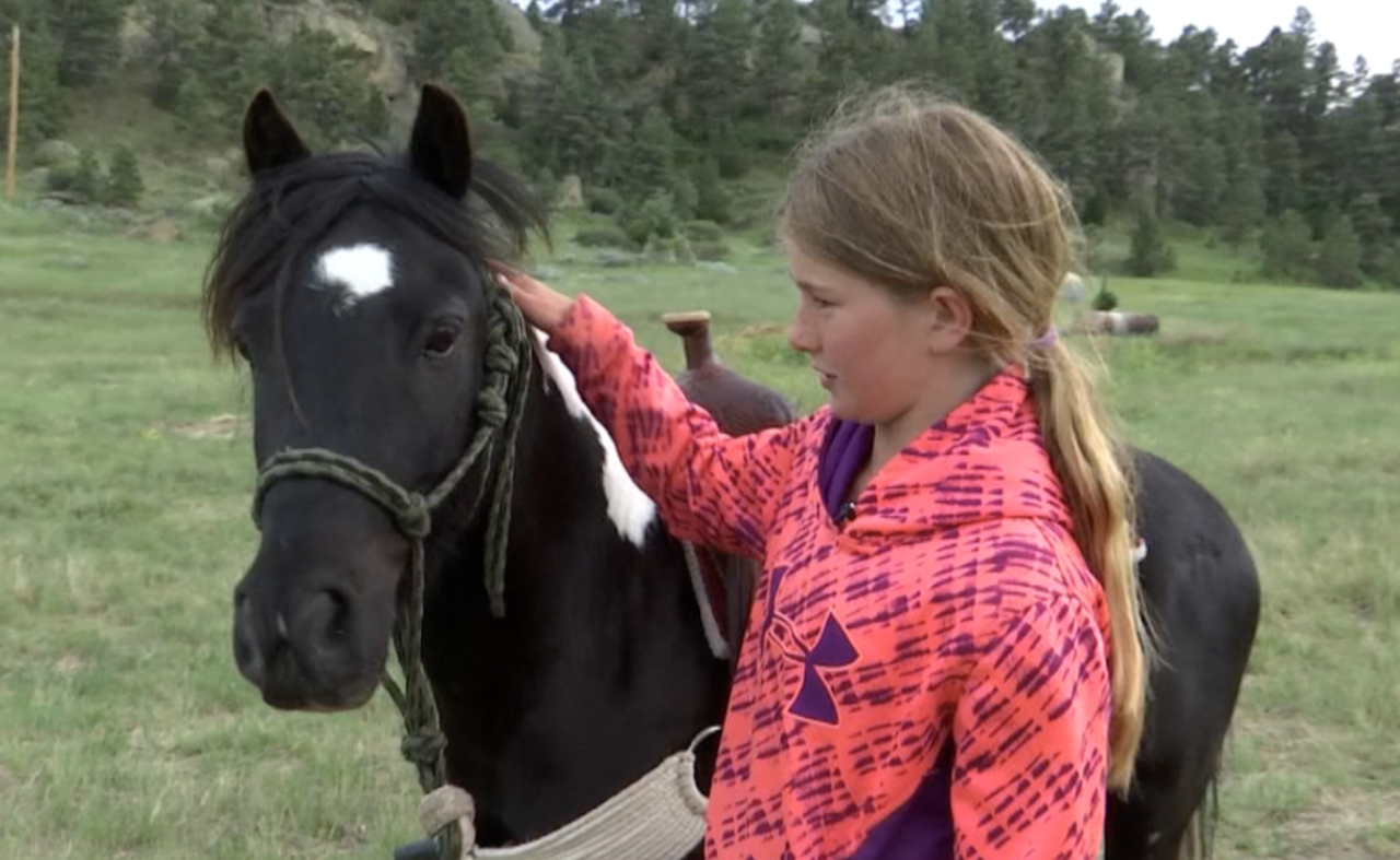Joy Mortensen Saddle Club