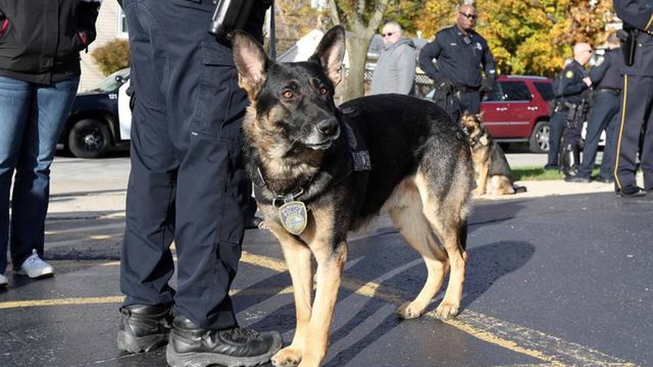 MPD Honor Guard salutes fallen K9 officer