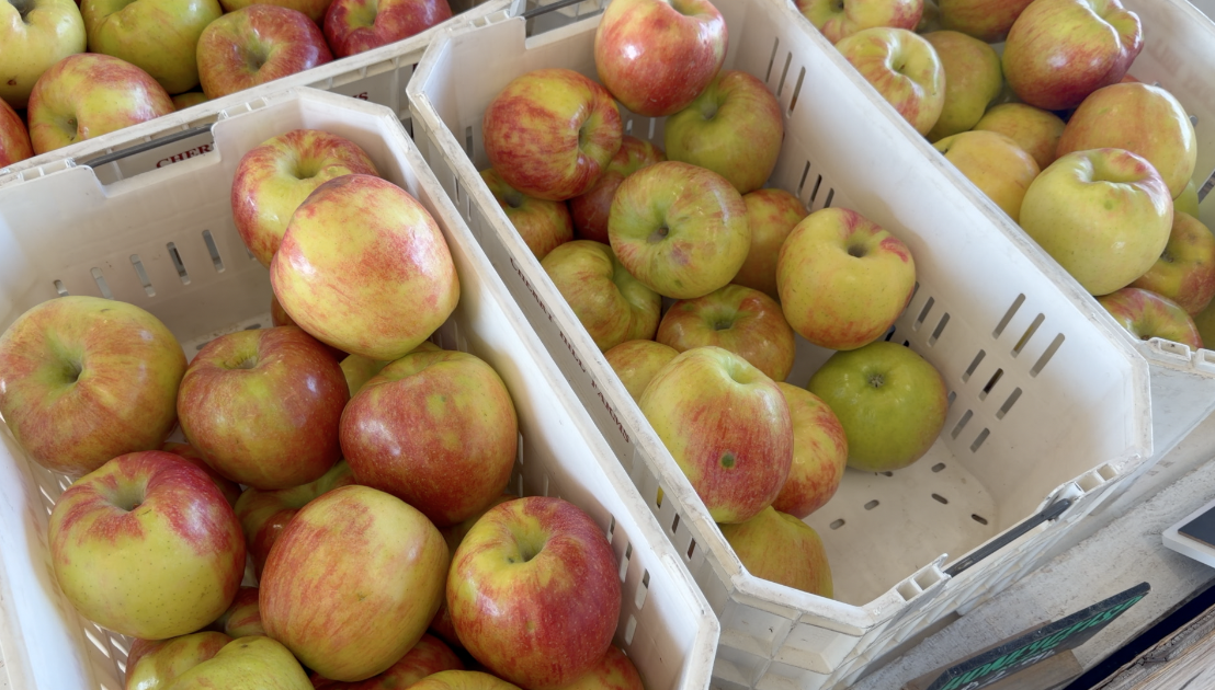 apples