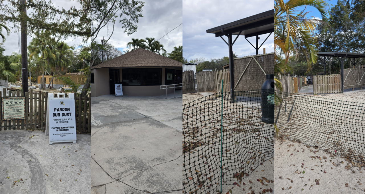 construction at Lion Country Safari thumbnail march 2 2026.png