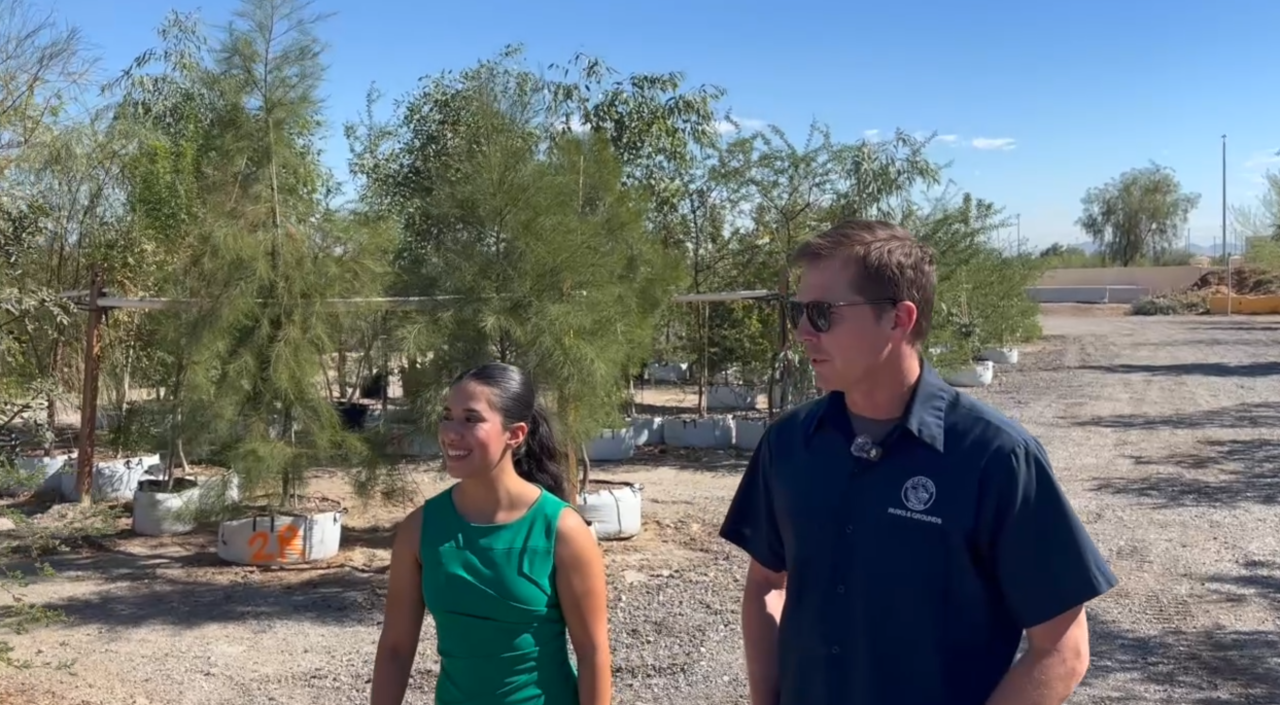 Las Vegas looks to thousands of new plants to bring shade to city’s east side