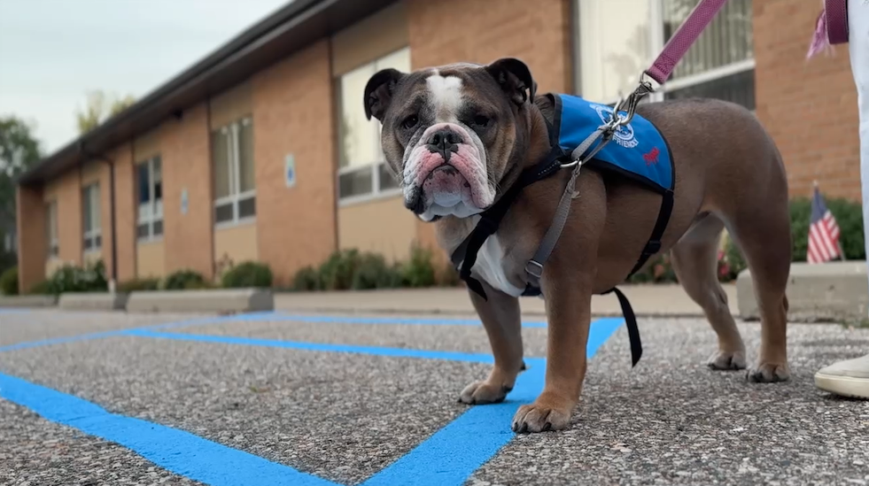 Screenshot 2025-10-01 at 10.24.07 PM.png