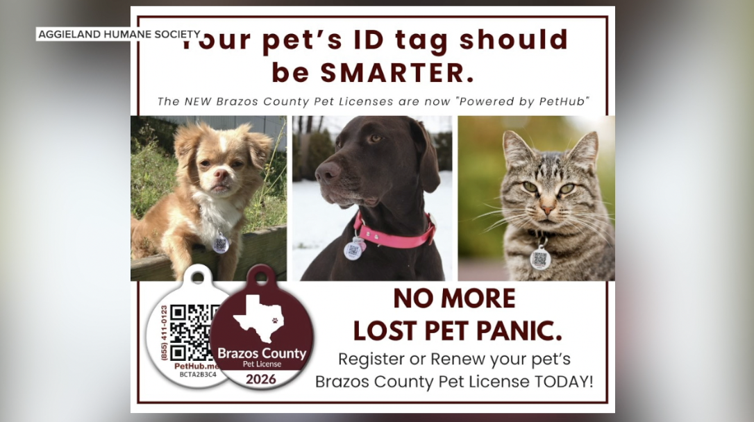 Brazos County launches smart pet tags to help lost animals get home faster