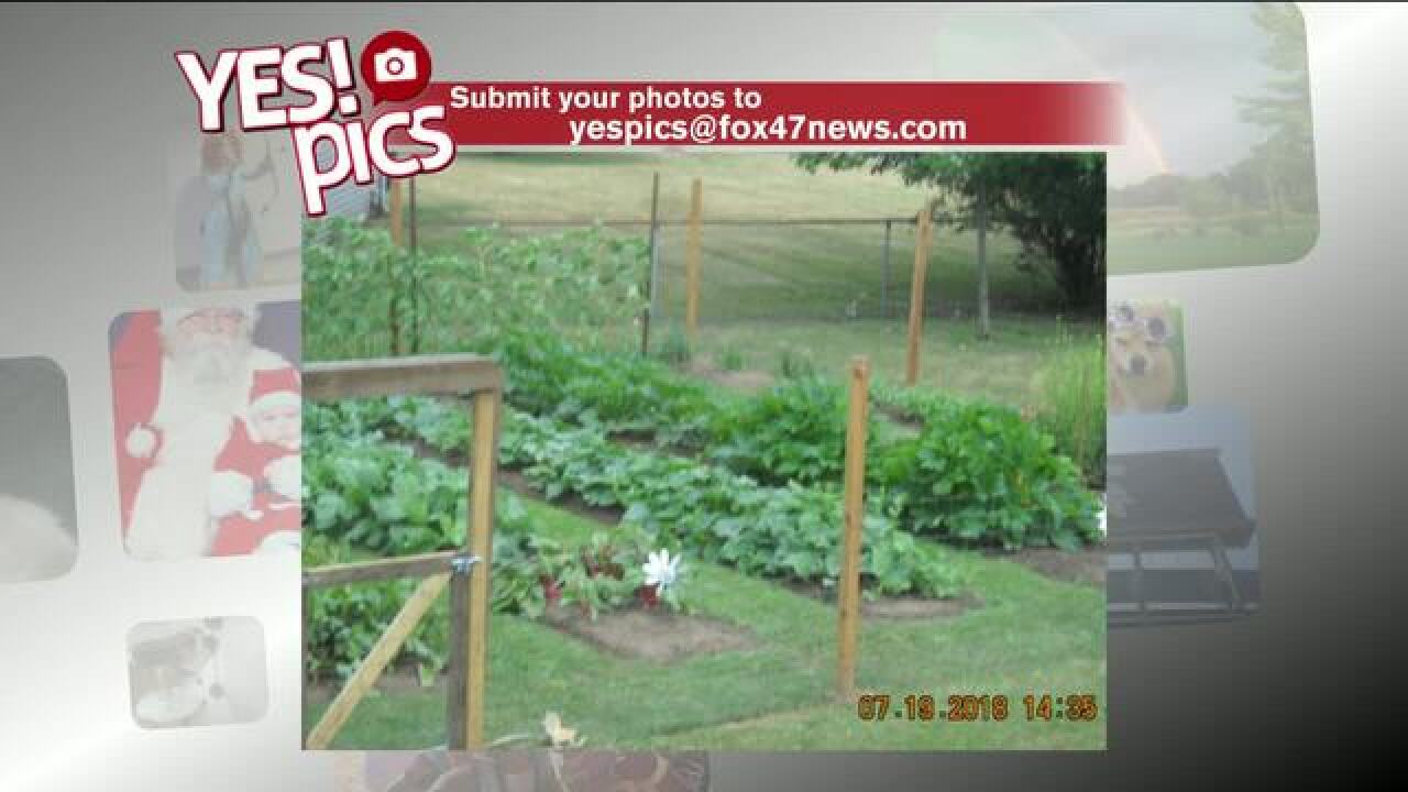 Yes! Pics: 8/9/18