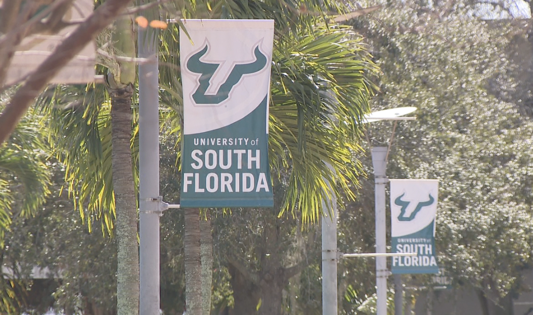 Screenshot 2024-01-17 at 5.46.51 PM.png