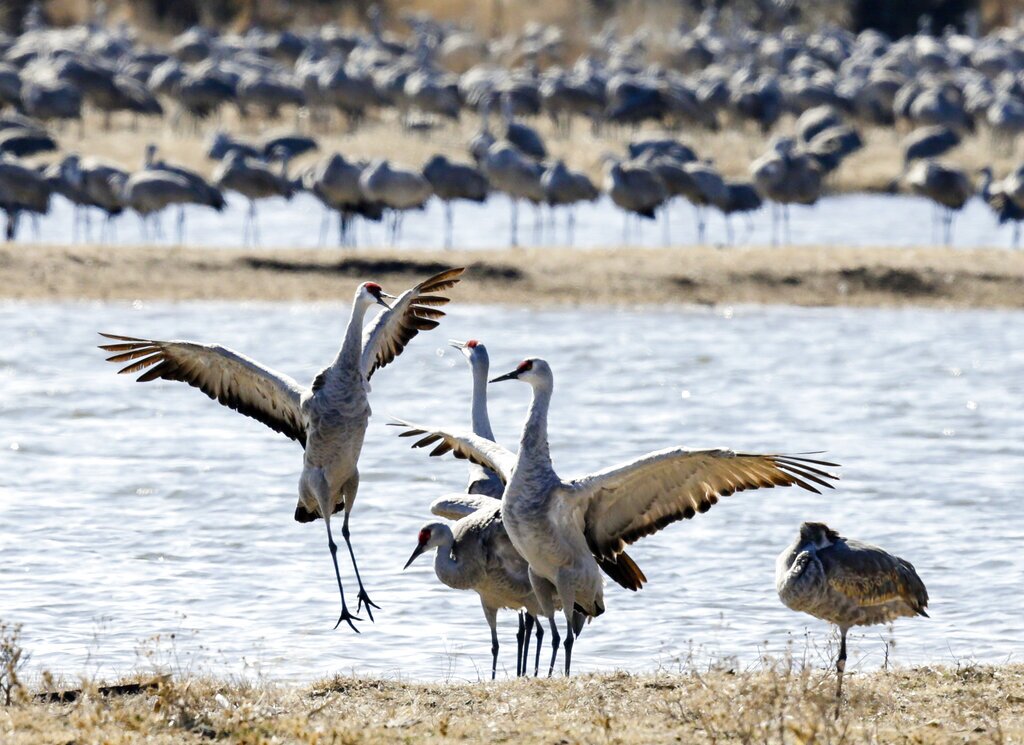 Nebraska Tourism Campaign