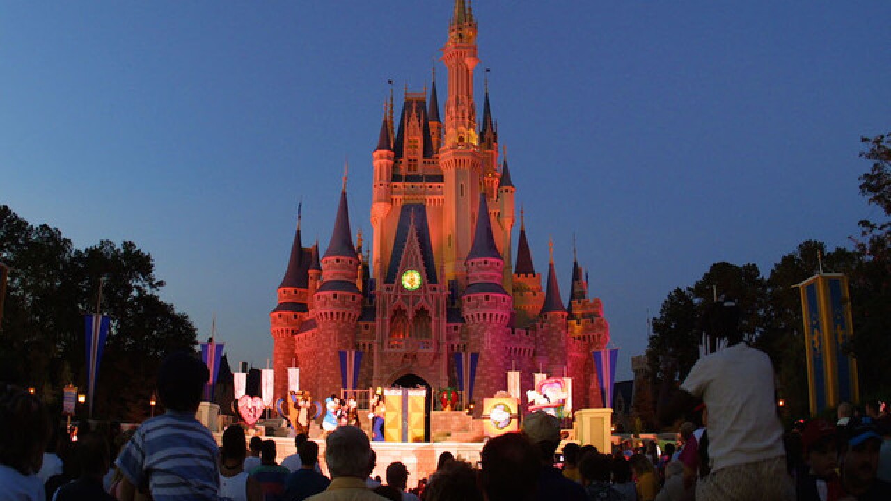 Man Dies In Car Crash At Exotic Driving Experience At Disney Capital Gazette