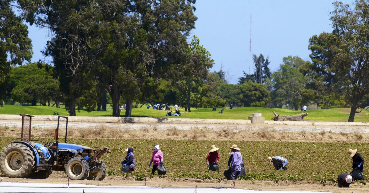 Despite new aid, farmers say labor shortages significantly driving up prices