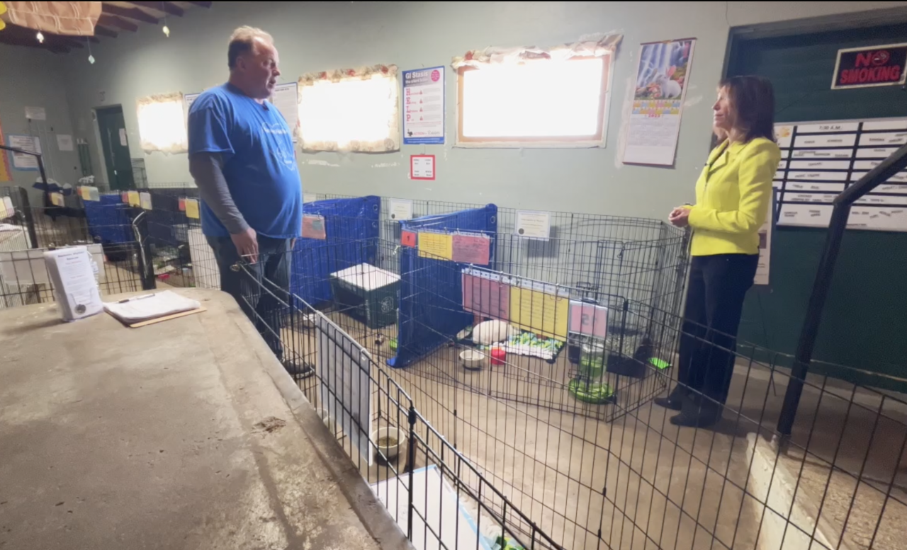 13 Investigates: Backyard Breeders