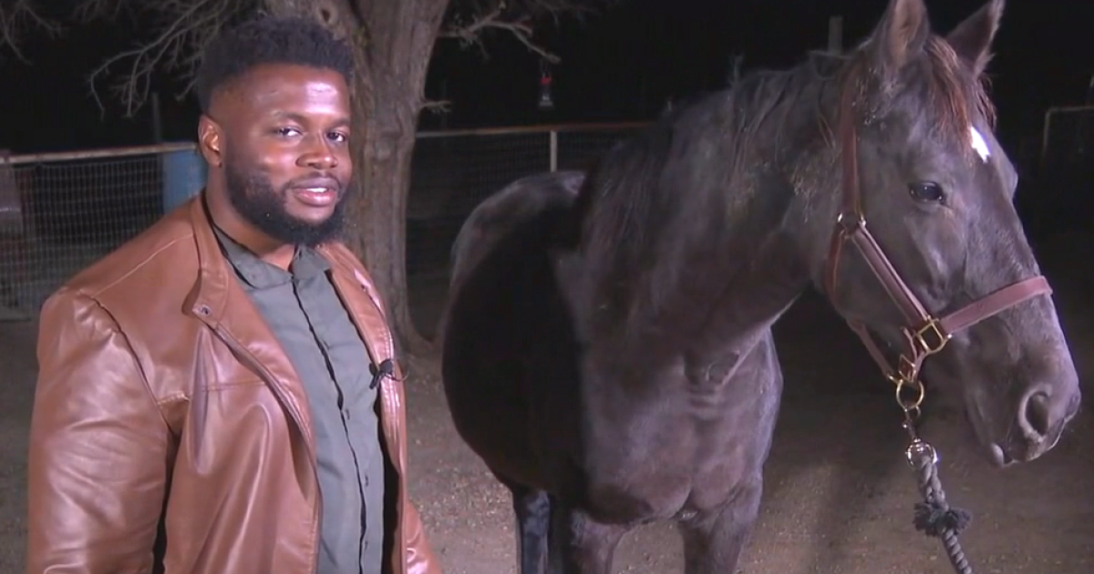 Helping horses and other livestock survive the winter months - Vimarsana News