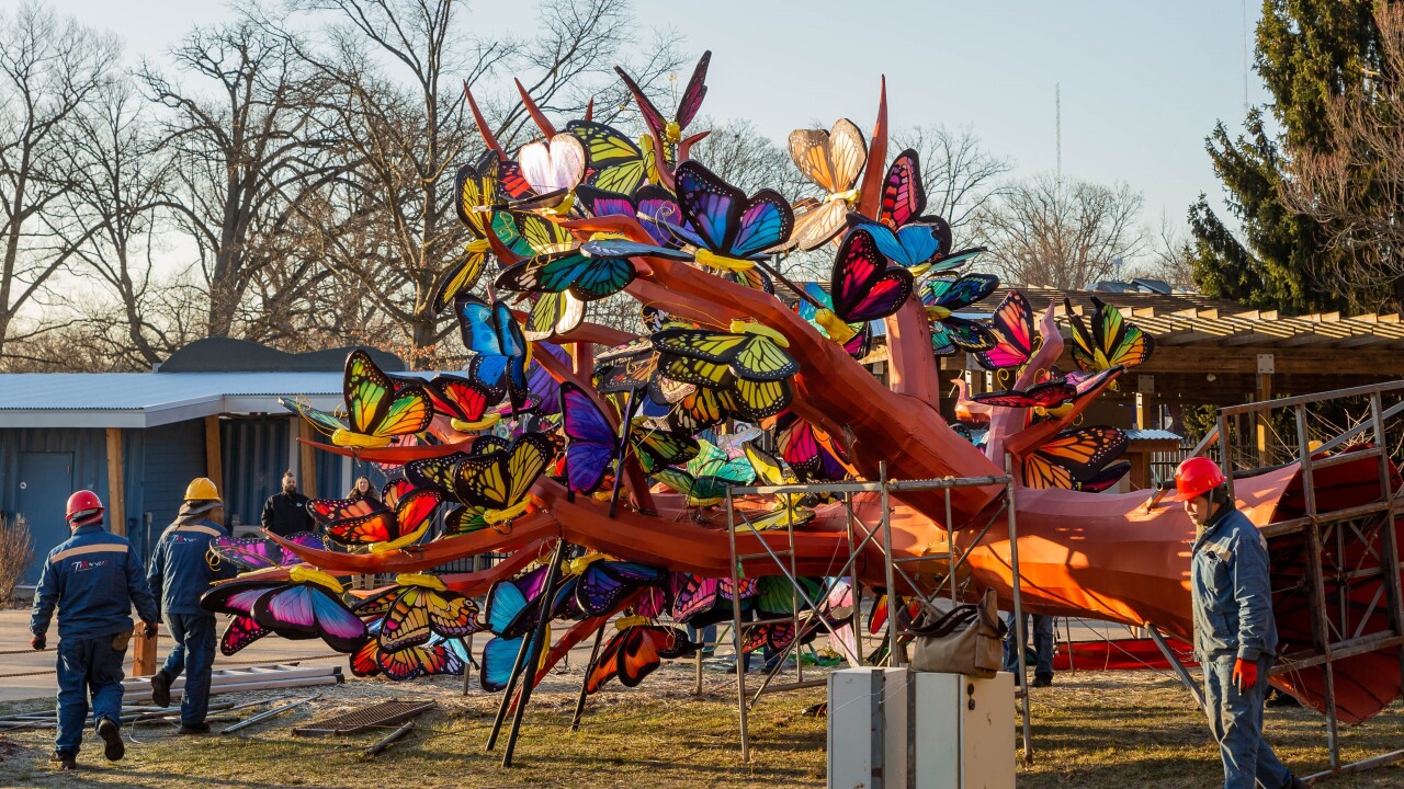 Grand Rapids Lantern Festival Begins At The John Ball Zoo grand-rapids-lantern-festival-begins-at-the-john-ball-zoo