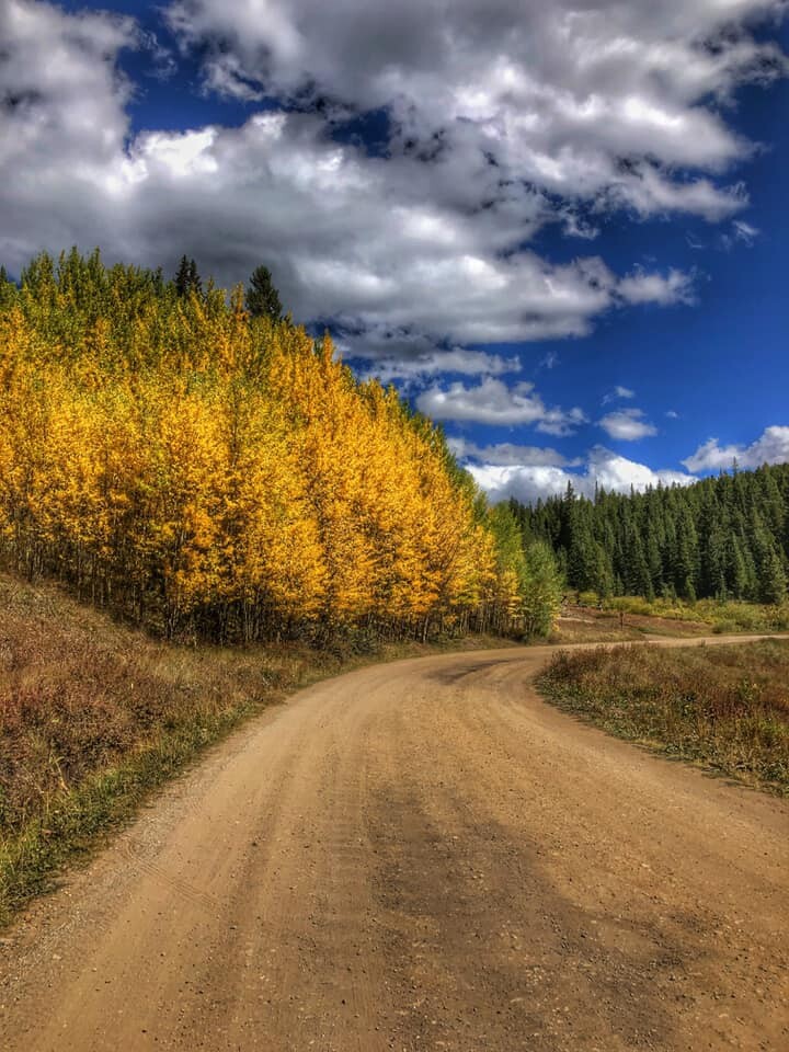 Boreas Pass_Kelly Kirchmar-Heger